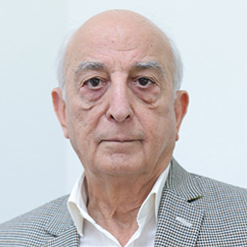 V K Shunglu