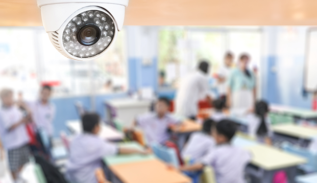 watchful cctv
